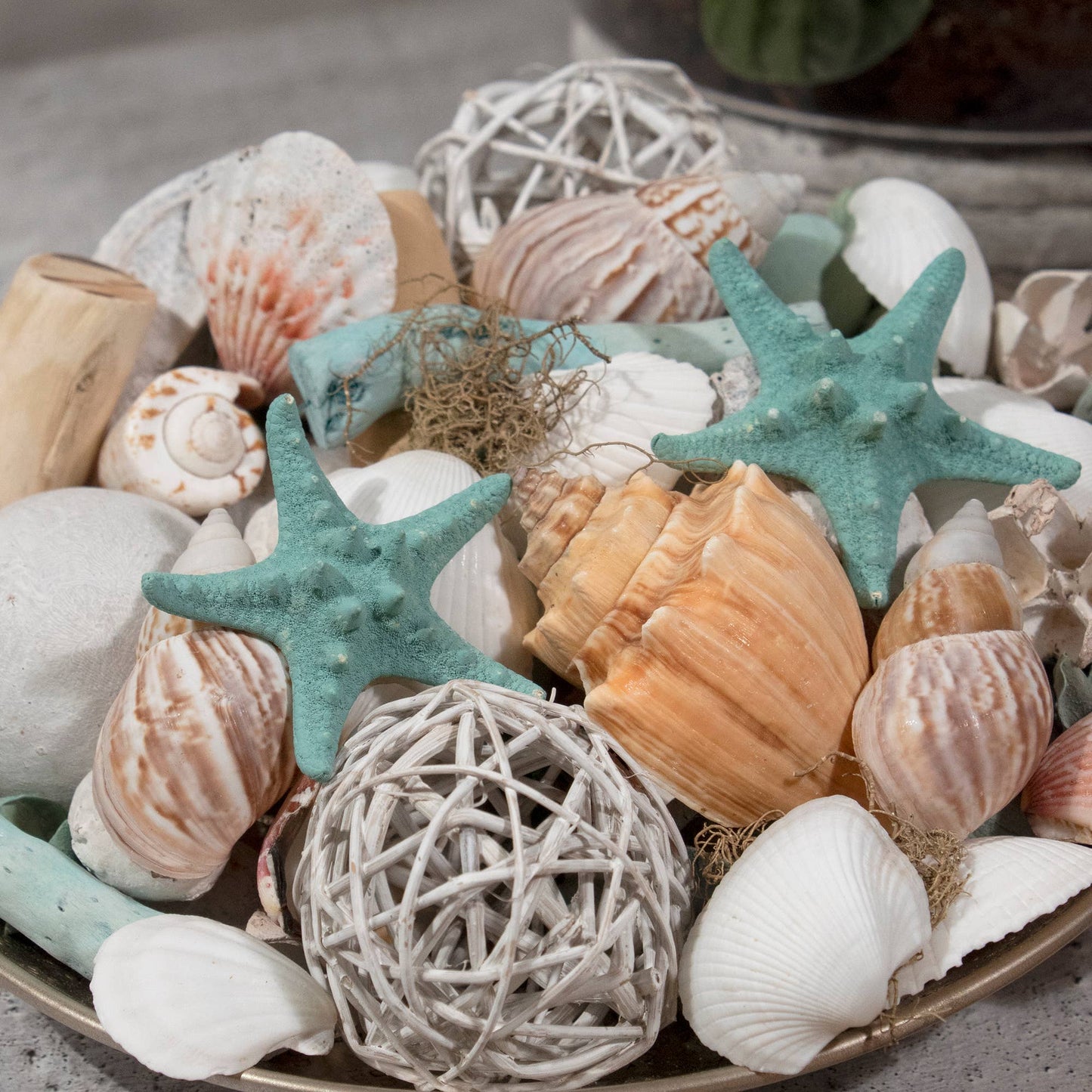 Ocean Plumes Potpourri