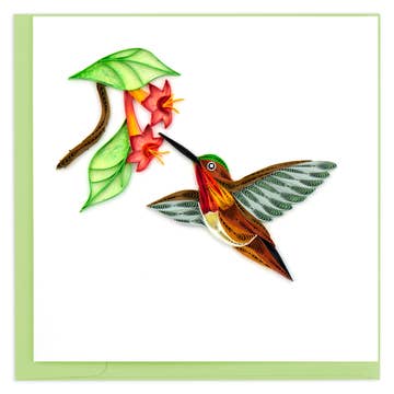 Rufous Hummingbird