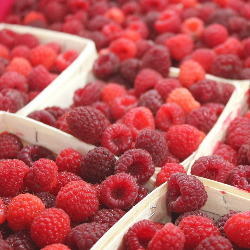 Raspberry Mostarda Jam (10.8oz)