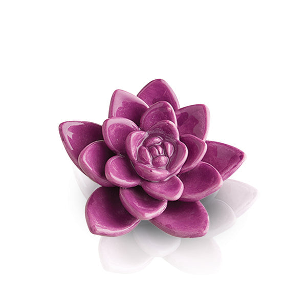 Charm - get growing!