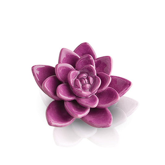Charm - get growing!
