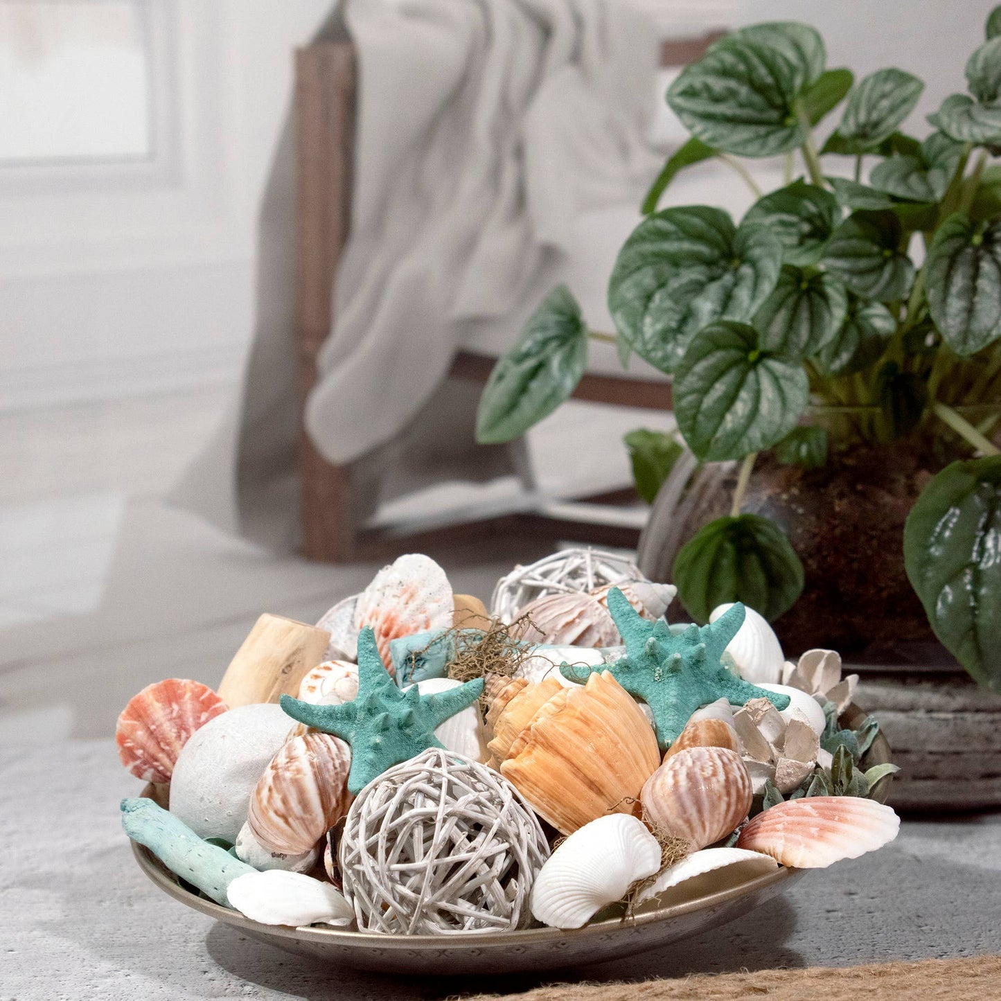 Ocean Plumes Potpourri