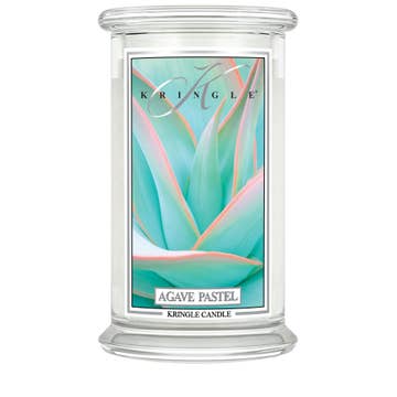 Agave Pastel Jar Candle (L)