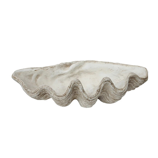 Magnesia Sea Shell (L)